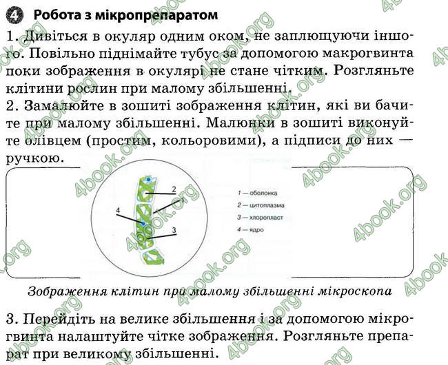 Відповіді Зошит Біологія 6 клас Задорожний. ГДЗ