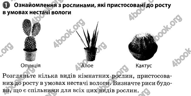 Відповіді Зошит Біологія 6 клас Задорожний. ГДЗ