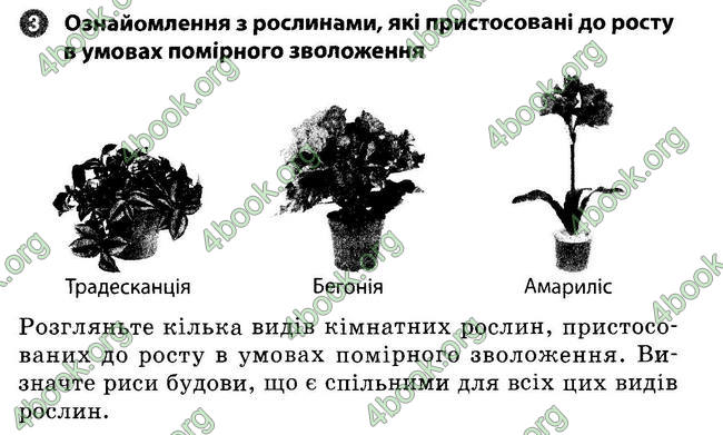 Відповіді Зошит Біологія 6 клас Задорожний. ГДЗ