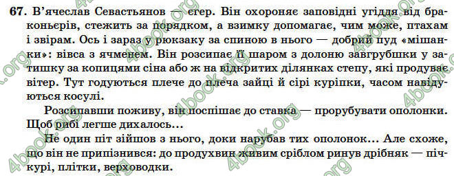 ГДЗ Рідна мова 4 клас Вашуленко 2004. Відповіді