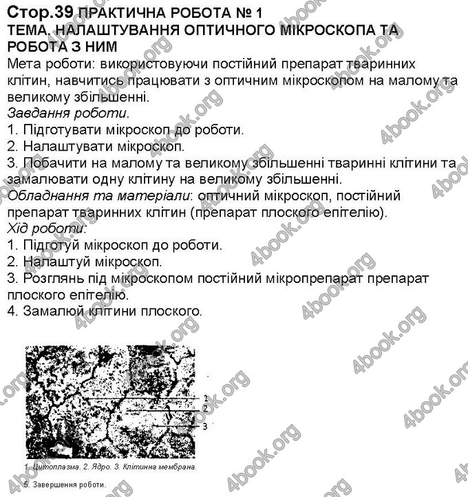 Відповіді Біологія 6 клас Костіков. ГДЗ