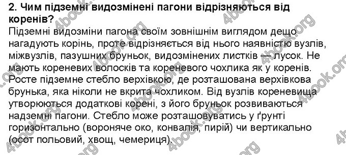 Відповіді Біологія 6 клас Костіков. ГДЗ