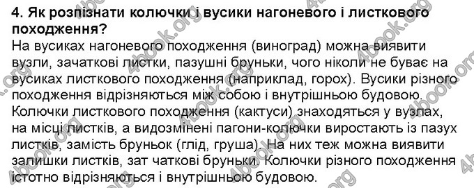 Відповіді Біологія 6 клас Костіков. ГДЗ