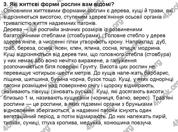 Відповіді Біологія 6 клас Костіков. ГДЗ