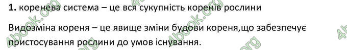 Відповіді Зошит Біологія 6 клас Котик. ГДЗ