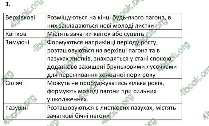 Відповіді Зошит Біологія 6 клас Котик. ГДЗ