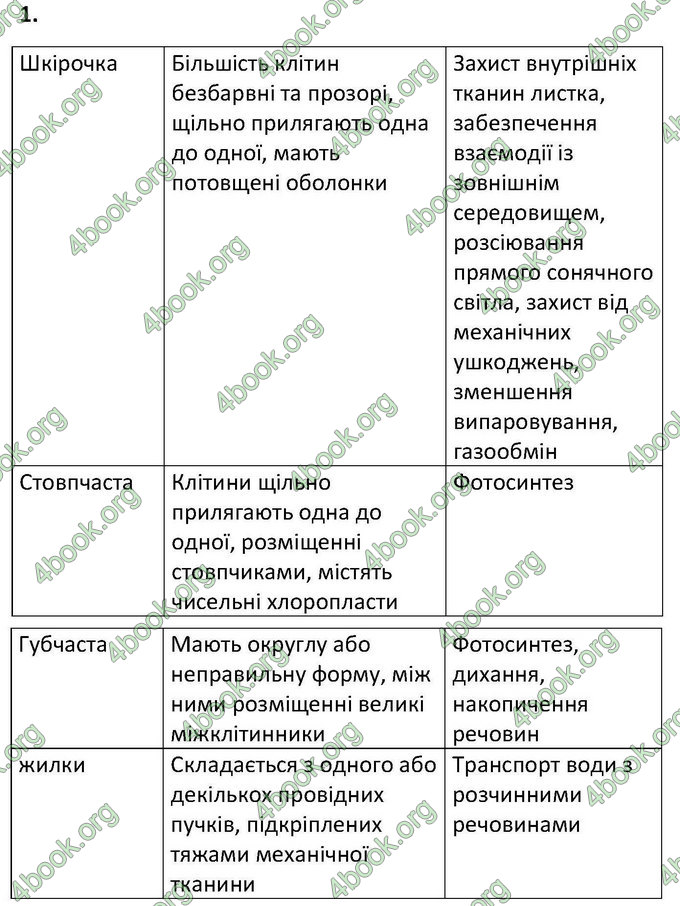 Відповіді Зошит Біологія 6 клас Котик. ГДЗ