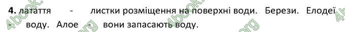 Відповіді Зошит Біологія 6 клас Котик. ГДЗ