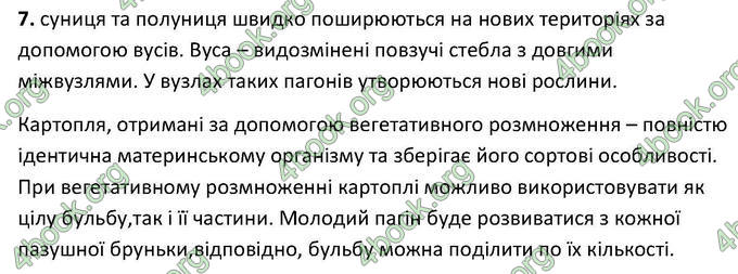 Відповіді Зошит Біологія 6 клас Котик. ГДЗ