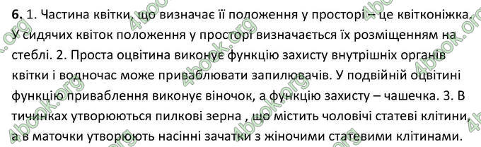 Відповіді Зошит Біологія 6 клас Котик. ГДЗ