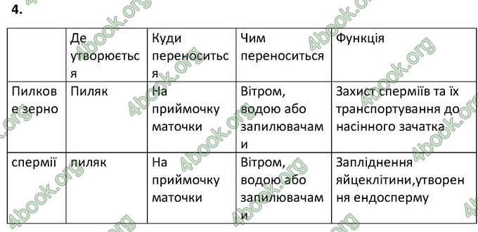 Відповіді Зошит Біологія 6 клас Котик. ГДЗ