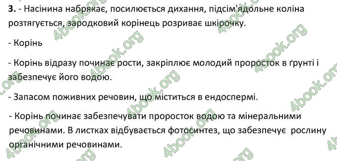 Відповіді Зошит Біологія 6 клас Котик. ГДЗ