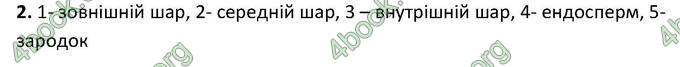 Відповіді Зошит Біологія 6 клас Котик. ГДЗ