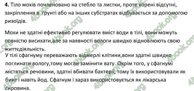 Відповіді Зошит Біологія 6 клас Котик. ГДЗ