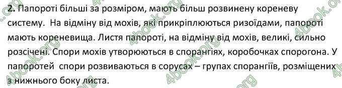 Відповіді Зошит Біологія 6 клас Котик. ГДЗ