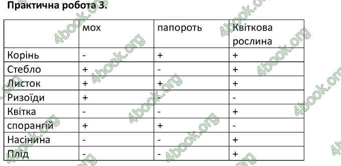 Відповіді Зошит Біологія 6 клас Котик. ГДЗ