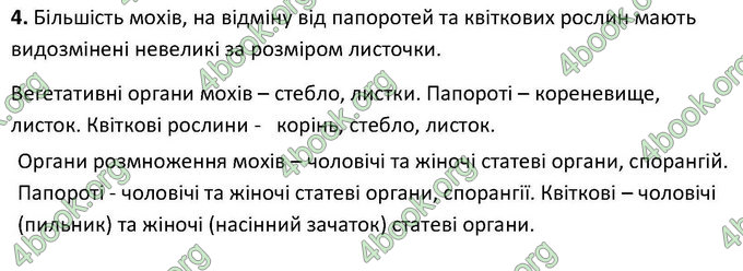 Відповіді Зошит Біологія 6 клас Котик. ГДЗ