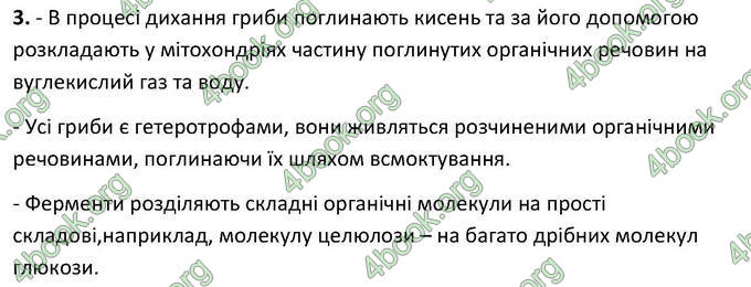 Відповіді Зошит Біологія 6 клас Котик. ГДЗ