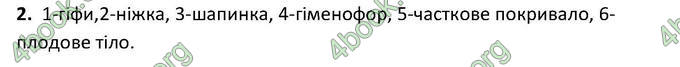 Відповіді Зошит Біологія 6 клас Котик. ГДЗ