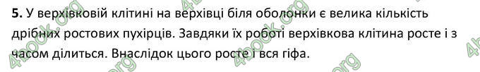 Відповіді Зошит Біологія 6 клас Котик. ГДЗ