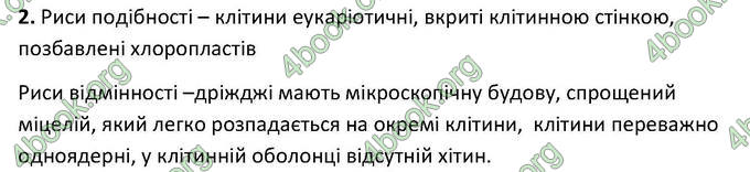 Відповіді Зошит Біологія 6 клас Котик. ГДЗ