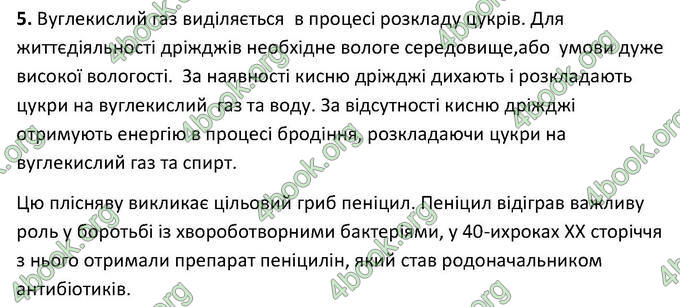 Відповіді Зошит Біологія 6 клас Котик. ГДЗ