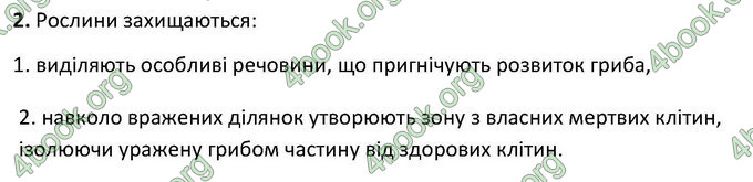 Відповіді Зошит Біологія 6 клас Котик. ГДЗ