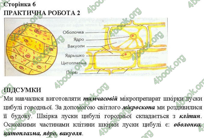 Ответы Зошит практични Біологія 6 клас Балан. ГДЗ