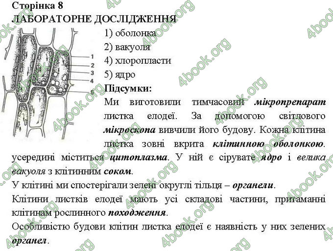 Ответы Зошит практични Біологія 6 клас Балан. ГДЗ