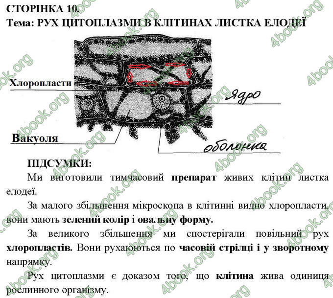 Ответы Зошит практични Біологія 6 клас Балан. ГДЗ