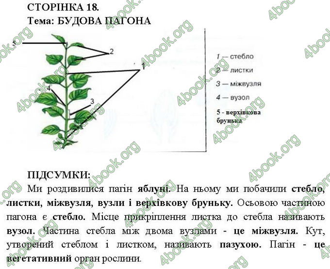 Ответы Зошит практични Біологія 6 клас Балан. ГДЗ