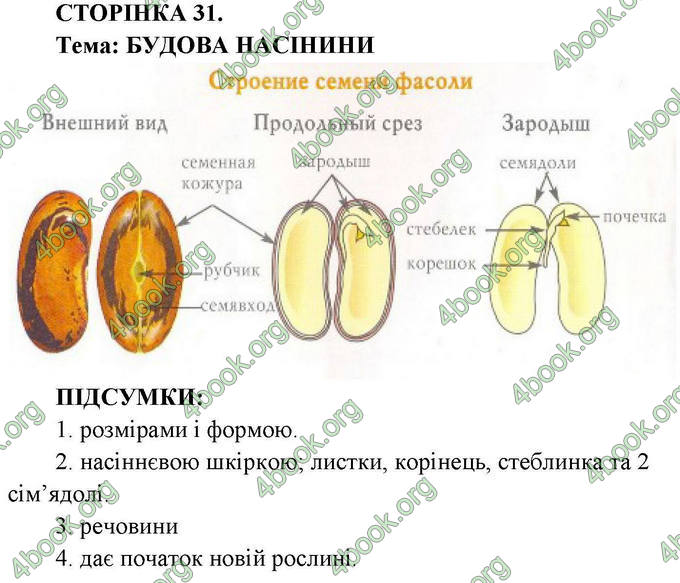 Ответы Зошит практични Біологія 6 клас Балан. ГДЗ