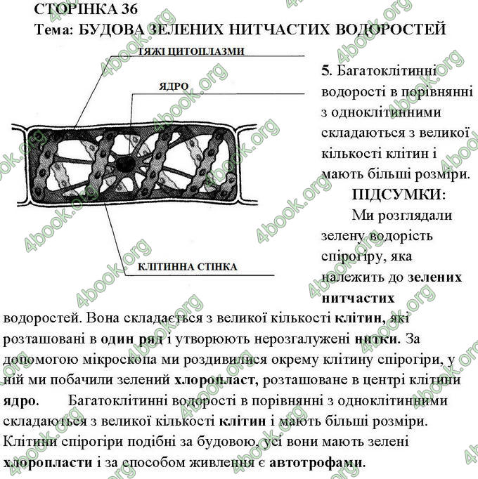 Ответы Зошит практични Біологія 6 клас Балан. ГДЗ