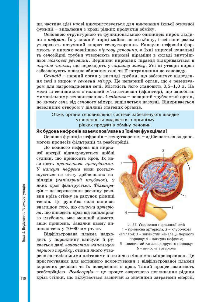 Підручник Біологія 8 клас Соболь 2016 (Укр.)