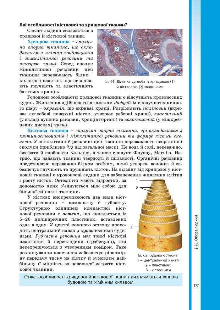 Підручник Біологія 8 клас Соболь 2016 (Укр.)