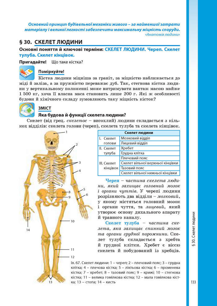 Підручник Біологія 8 клас Соболь 2016 (Укр.)