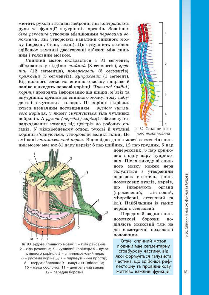 Підручник Біологія 8 клас Соболь 2016 (Укр.)