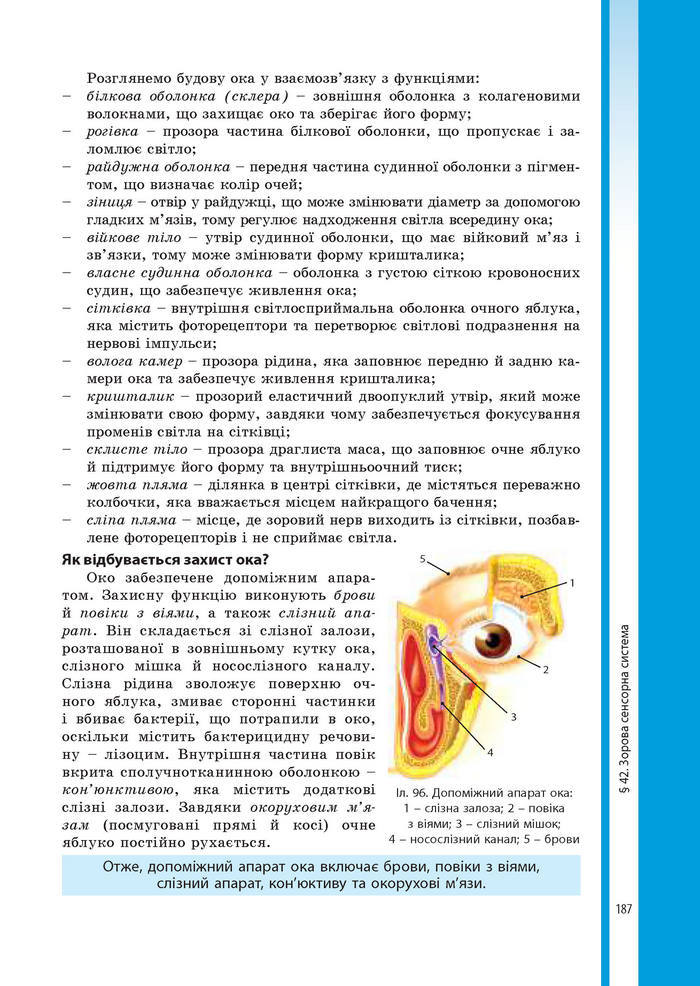 Підручник Біологія 8 клас Соболь 2016 (Укр.)