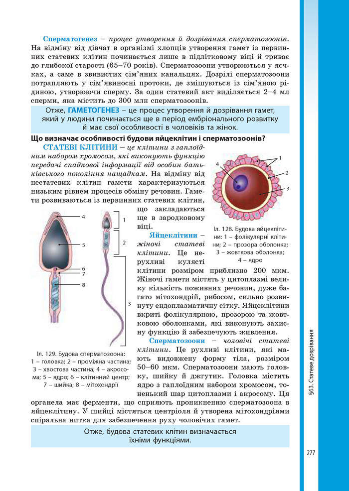 Підручник Біологія 8 клас Соболь 2016 (Укр.)