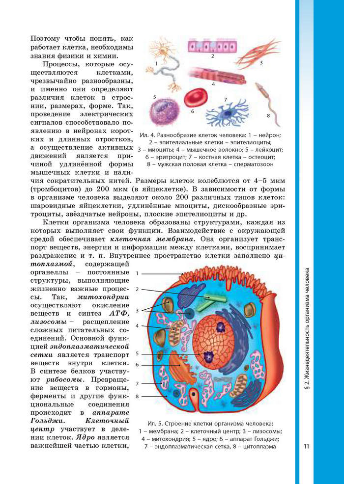 Биология 8 класс Соболь 2016 (Рус.)
