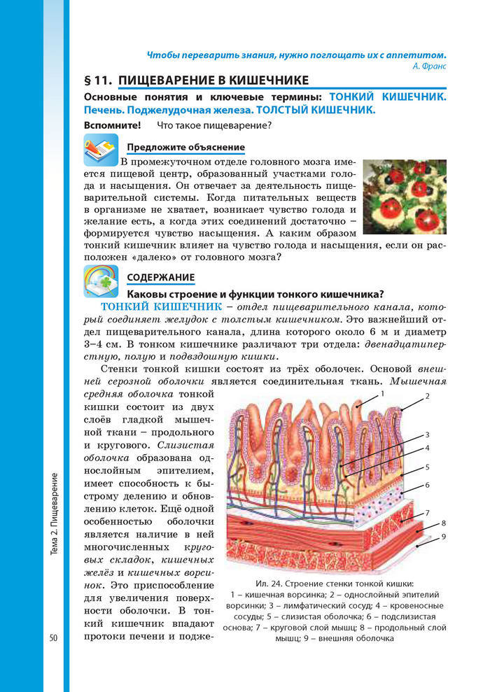 Биология 8 класс Соболь 2016 (Рус.)