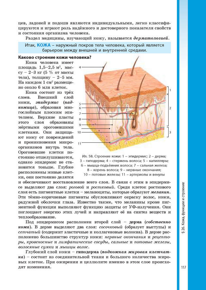 Биология 8 класс Соболь 2016 (Рус.)