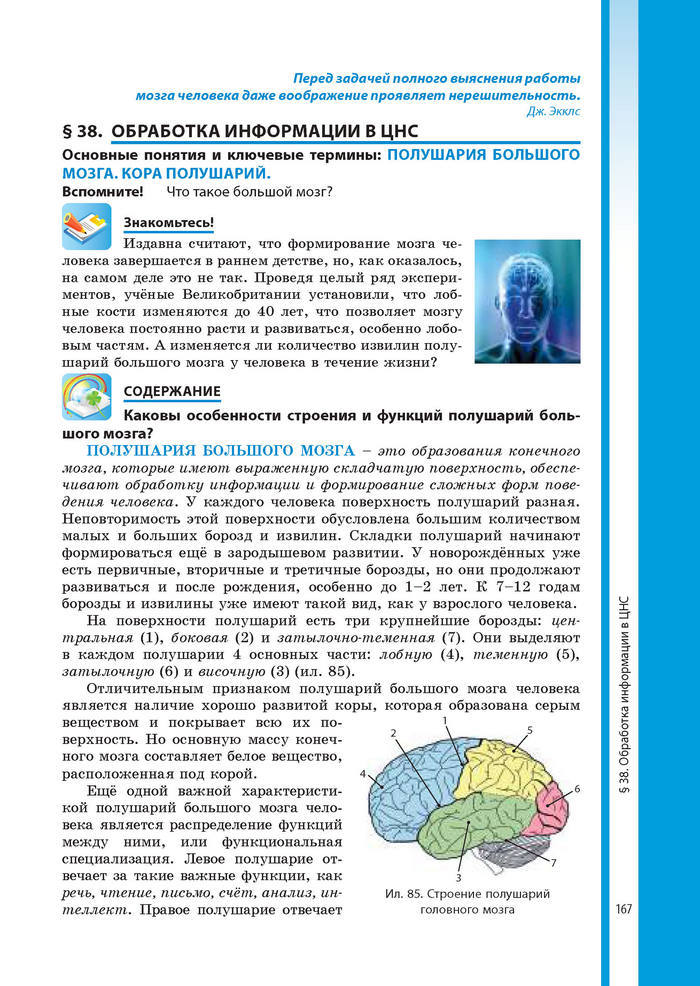 Биология 8 класс Соболь 2016 (Рус.)