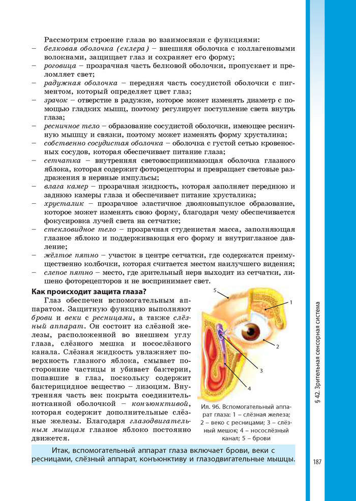 Биология 8 класс Соболь 2016 (Рус.)