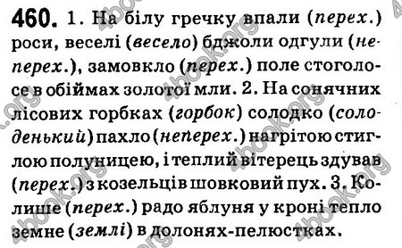 Ответы Українська мова 6 класс Заболотний (Рус.). ГДЗ