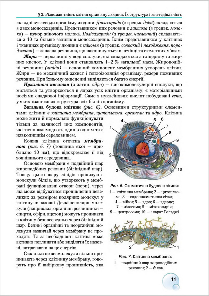 Підручник Біологія 8 клас Страшко 2016