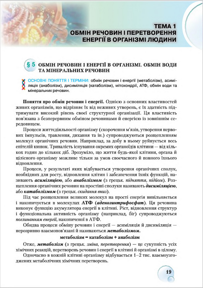 Підручник Біологія 8 клас Страшко 2016