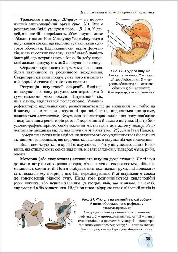 Підручник Біологія 8 клас Страшко 2016