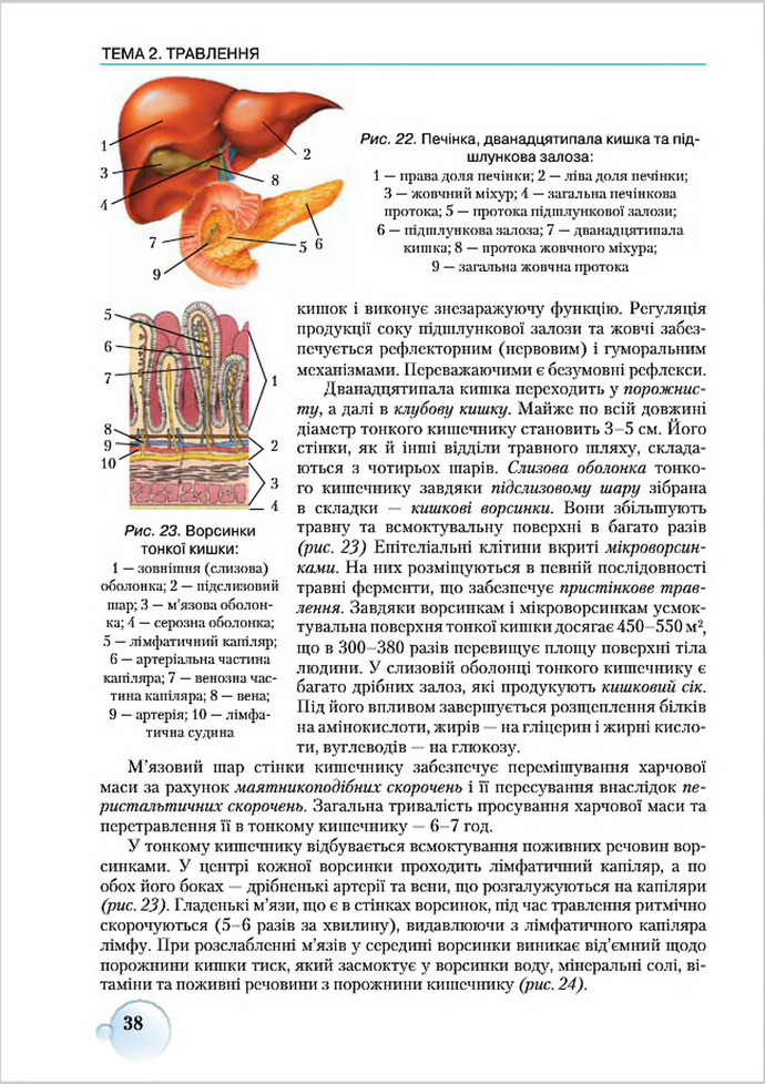 Підручник Біологія 8 клас Страшко 2016