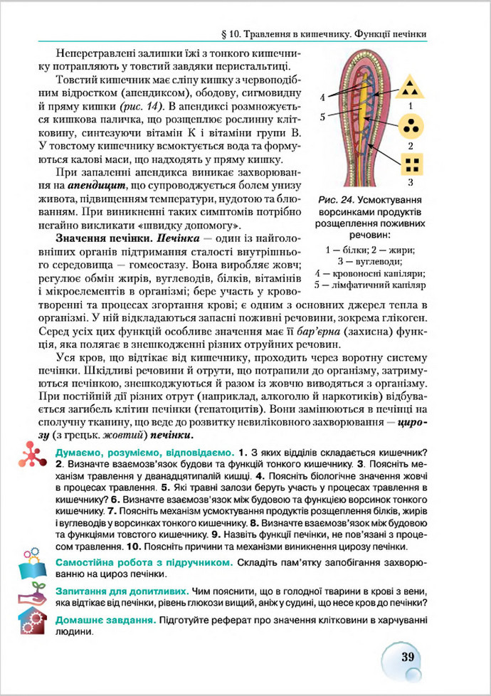 Підручник Біологія 8 клас Страшко 2016